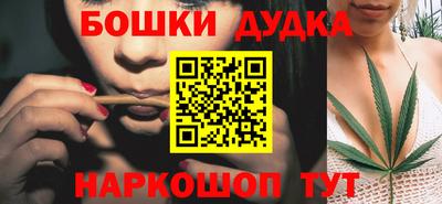 крисы Новокубанск