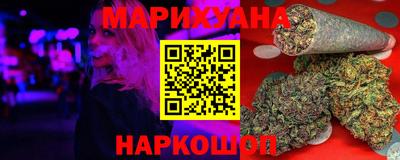 крисы Новокубанск