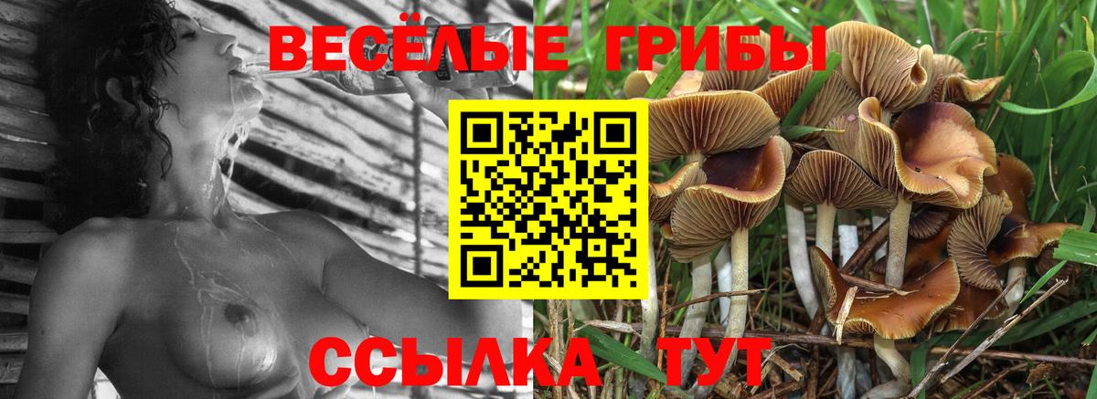Галлюциногенные грибы мицелий  Псилоцибиновые грибы мицелий  купить наркоту  Ступино  Вход с VPN 